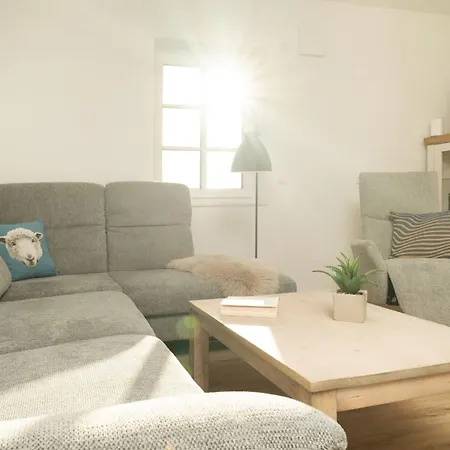 Am Feldweg 8 Heringsmoewe *